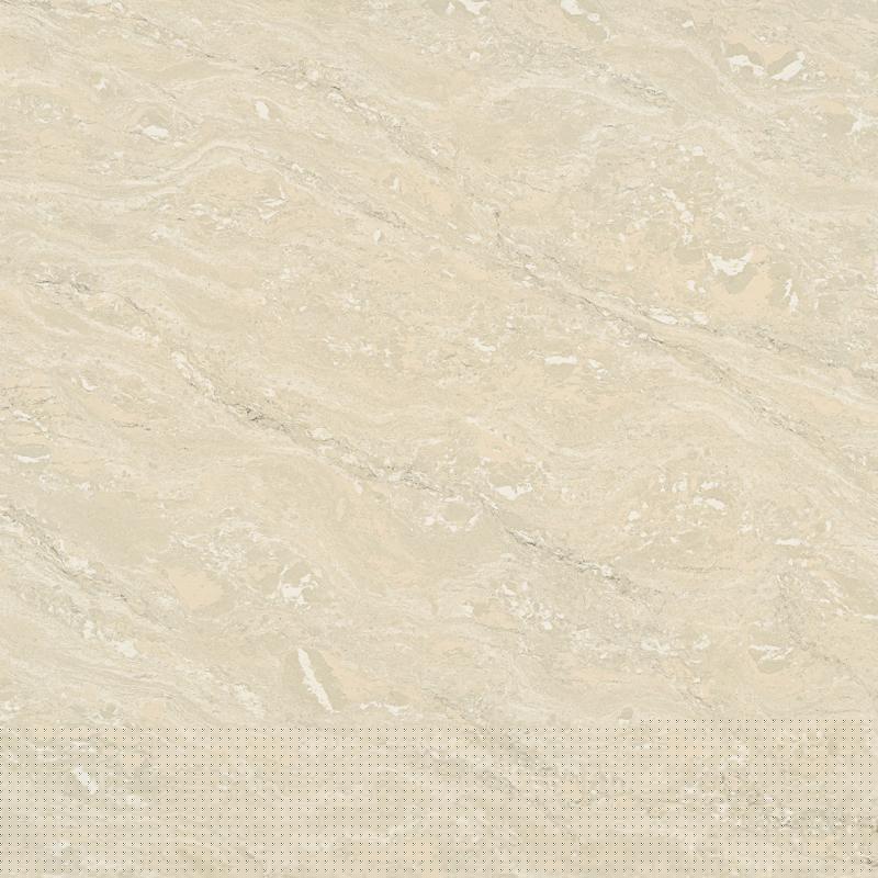 鬱金香 | 600cm × 600cm