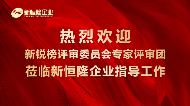 新銳榜評(píng)委團(tuán)走進(jìn)新恒隆，對(duì)企業(yè)發(fā)展給予高度評(píng)價(jià)和認(rèn)可