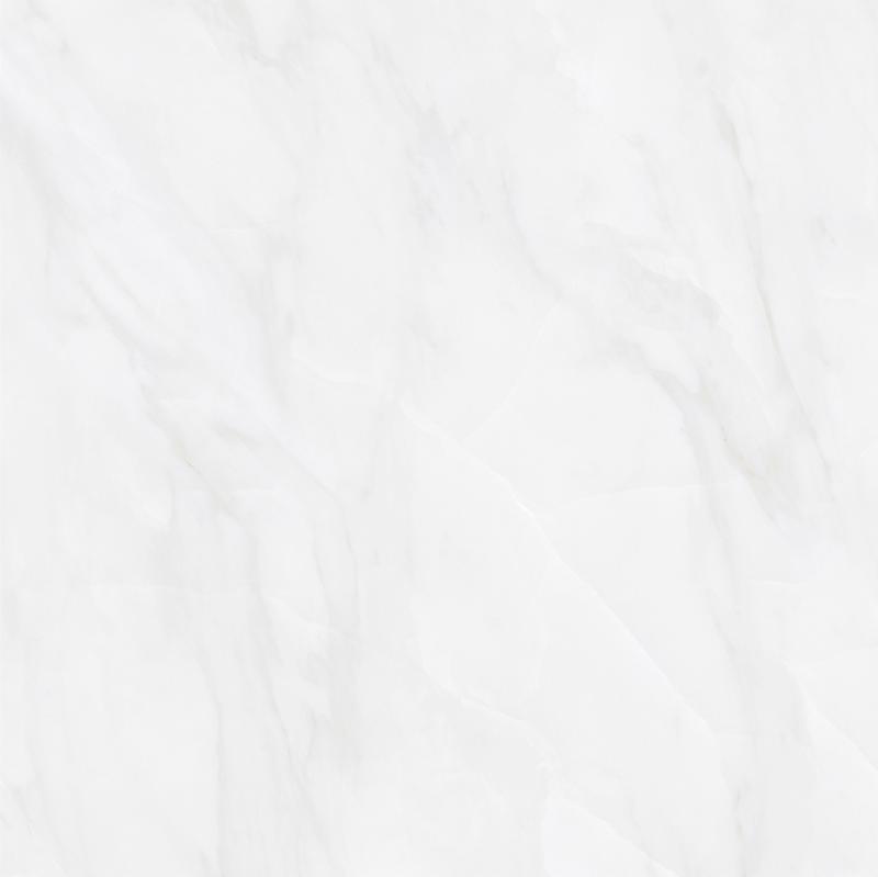 8SY210  伊莉莎白